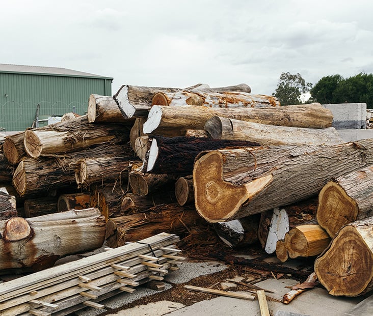lumber-yard_case-study-photo